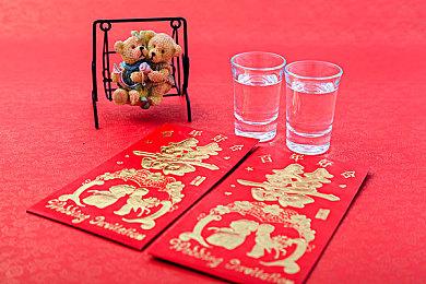 万代机甲游戏《SYNDUALITY》详情公开 中文预告